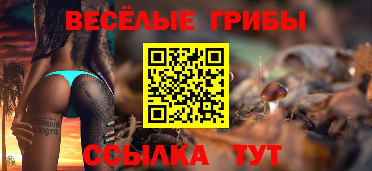 Псилоцибиновые грибы MAGIC MUSHROOMS  Псилоцибиновые грибы Psilocybe  Вход с VPN  Старый Оскол 